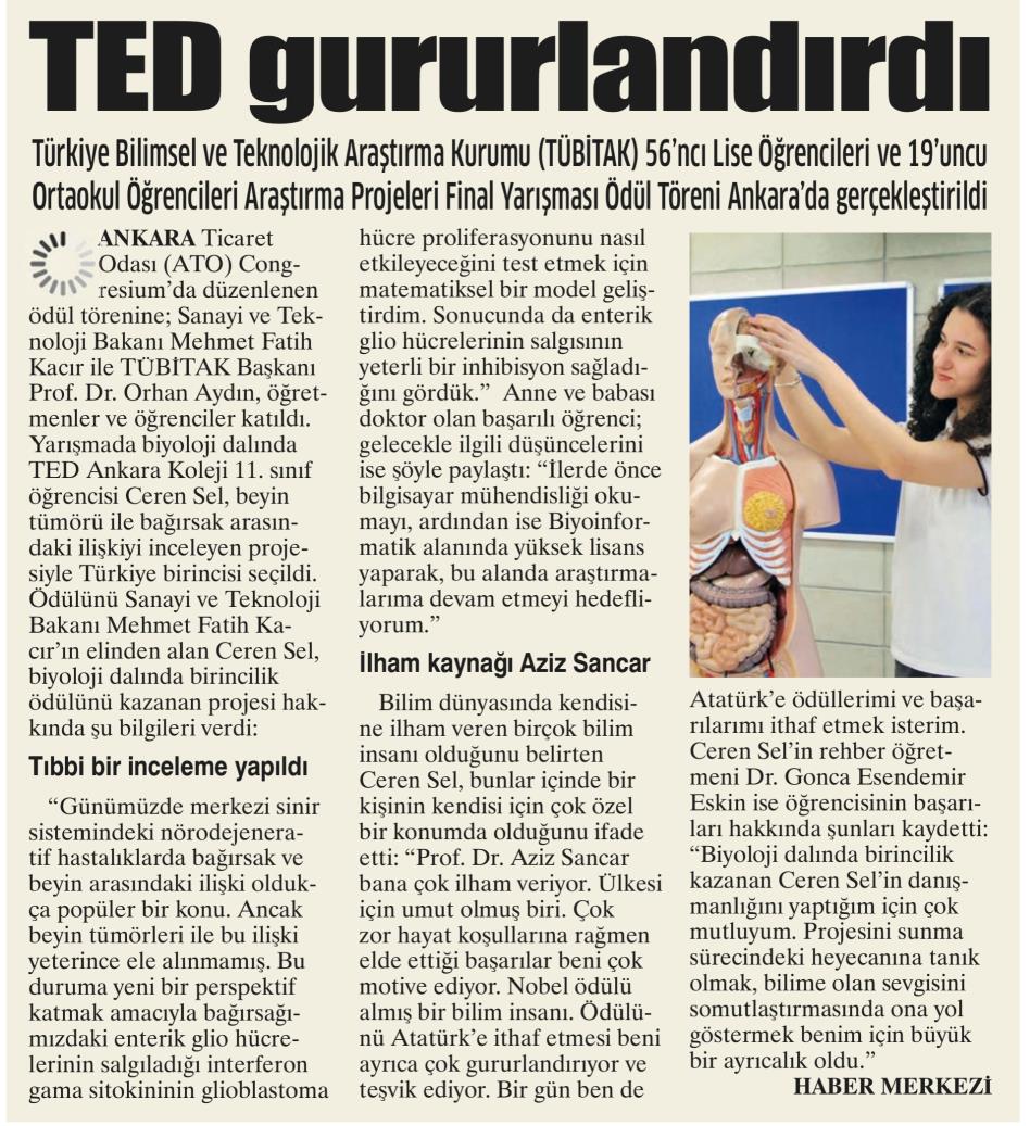 GAZETEDAMGA 20250608 8