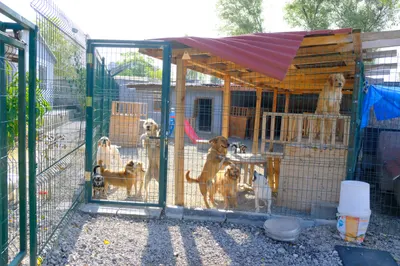 Büyük patipark anaokulu1