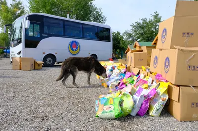 Büyük patipark anaokulu3